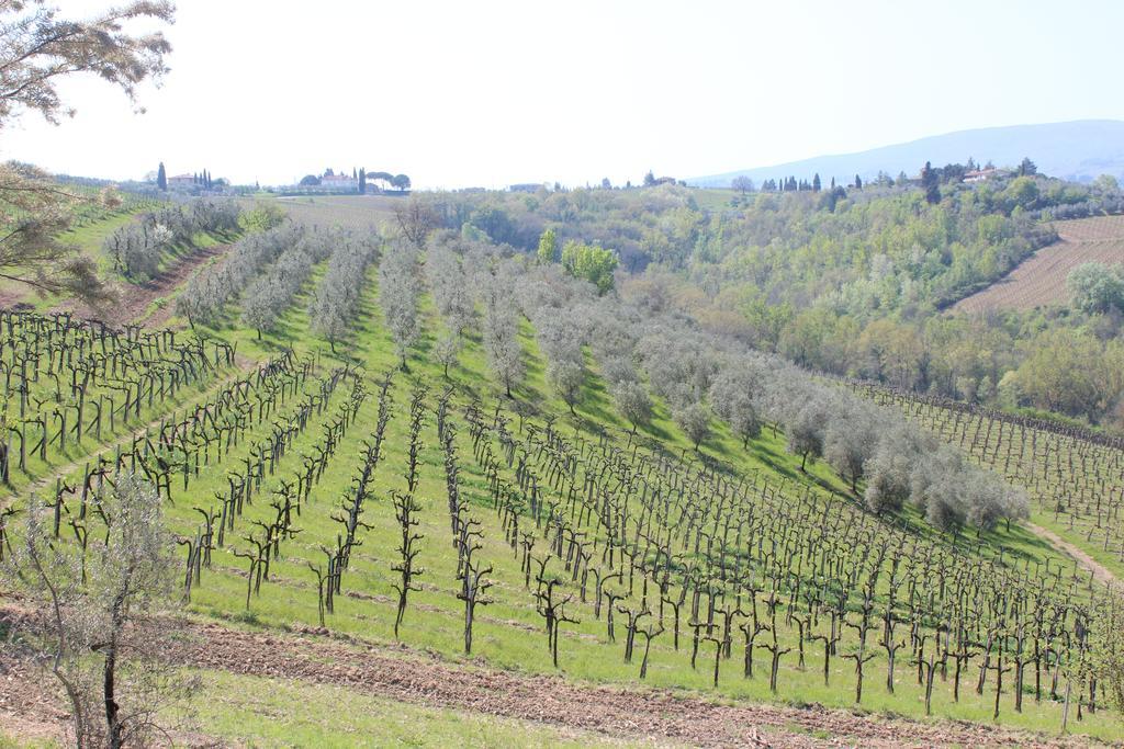 סן ג'ימיניאנו Bio Agriturismo Podere Pretoia מראה חיצוני תמונה