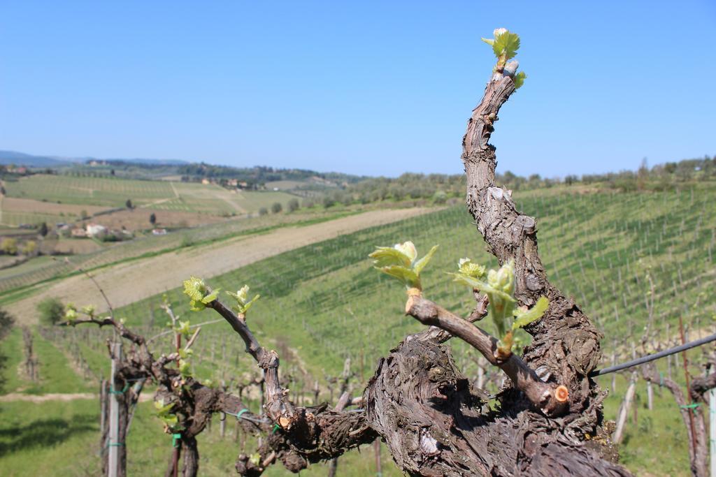 סן ג'ימיניאנו Bio Agriturismo Podere Pretoia מראה חיצוני תמונה